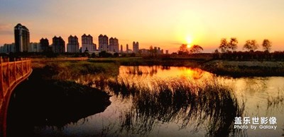 【光影交錯的世界】+S8+鏡頭中的光影交錯