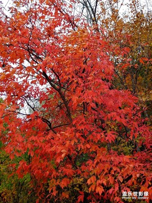 三星note8并不是浪得虛名