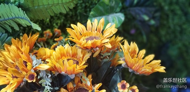 2017年10月14日蓋樂世NOTE8品鑒會