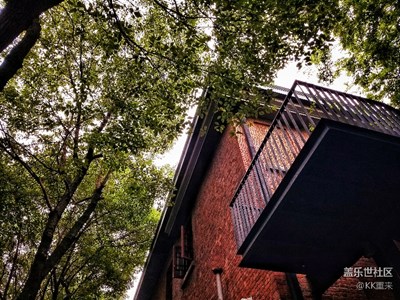 拍了知道+生活隨景