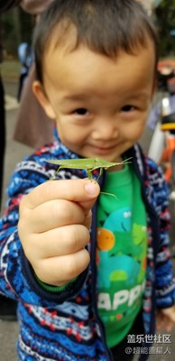 拍，才知道 Note8隨手拍系列