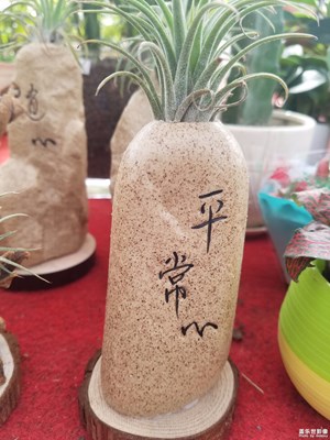 紅運當(dāng)頭，花