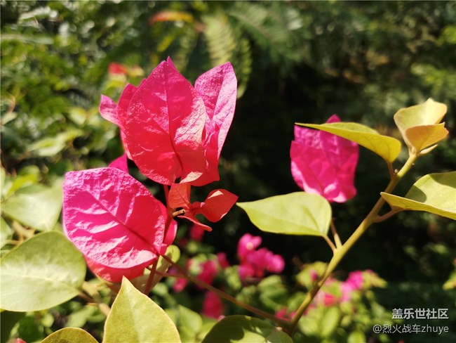 三星中國特供機(jī)C8——中端機(jī)的新選擇