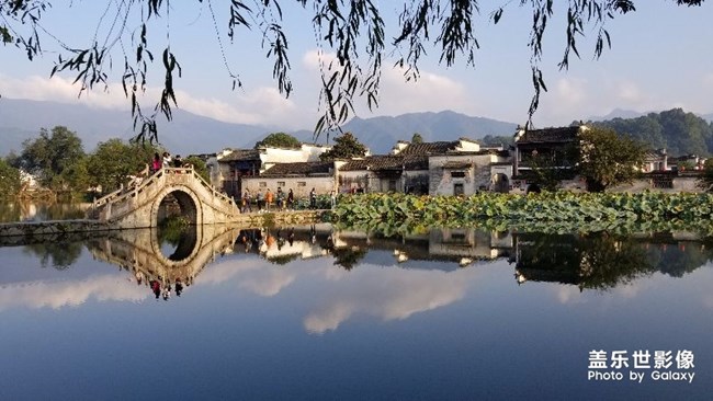 每周精帖匯【第75期：蓋樂世影像之旅「拍，才知道」】