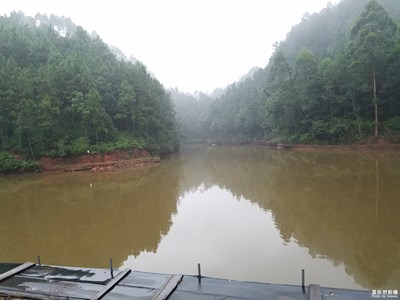 工會(huì)釣魚比賽