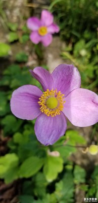 隨便拍。。。