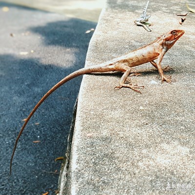 拍才知道每天最重要的生產(chǎn)，是給未來制造回憶