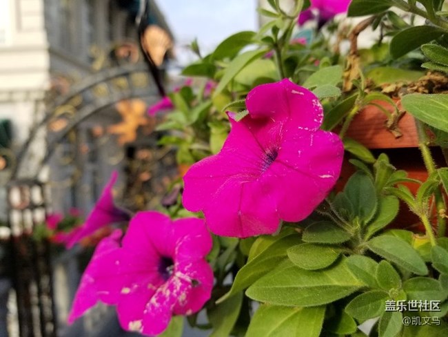 目前頂配的note8 使用