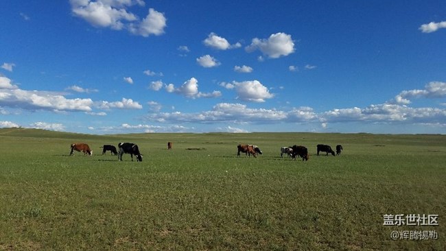 風(fēng)景和藝術(shù)