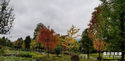 拍才知道＋富民美景濕地公園·螳螂川