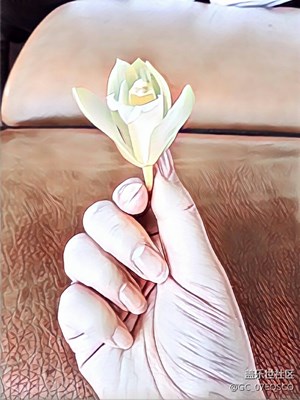 拍了才知*世間處處美好