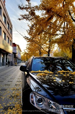 秋，讓人著迷的季節(jié)