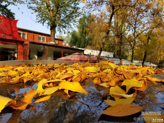 每周精帖匯【第76期：Bixby中文版內(nèi)測活動即將上線】