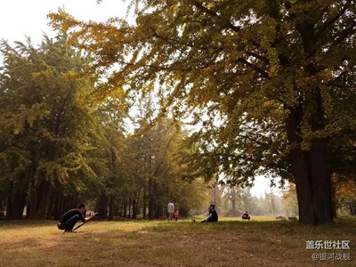 【拍，才知道】note拍攝樹林