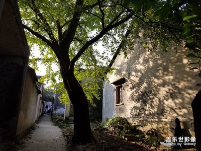 【拍，才知道】note8隨手拍，素蘇州太湖西山島