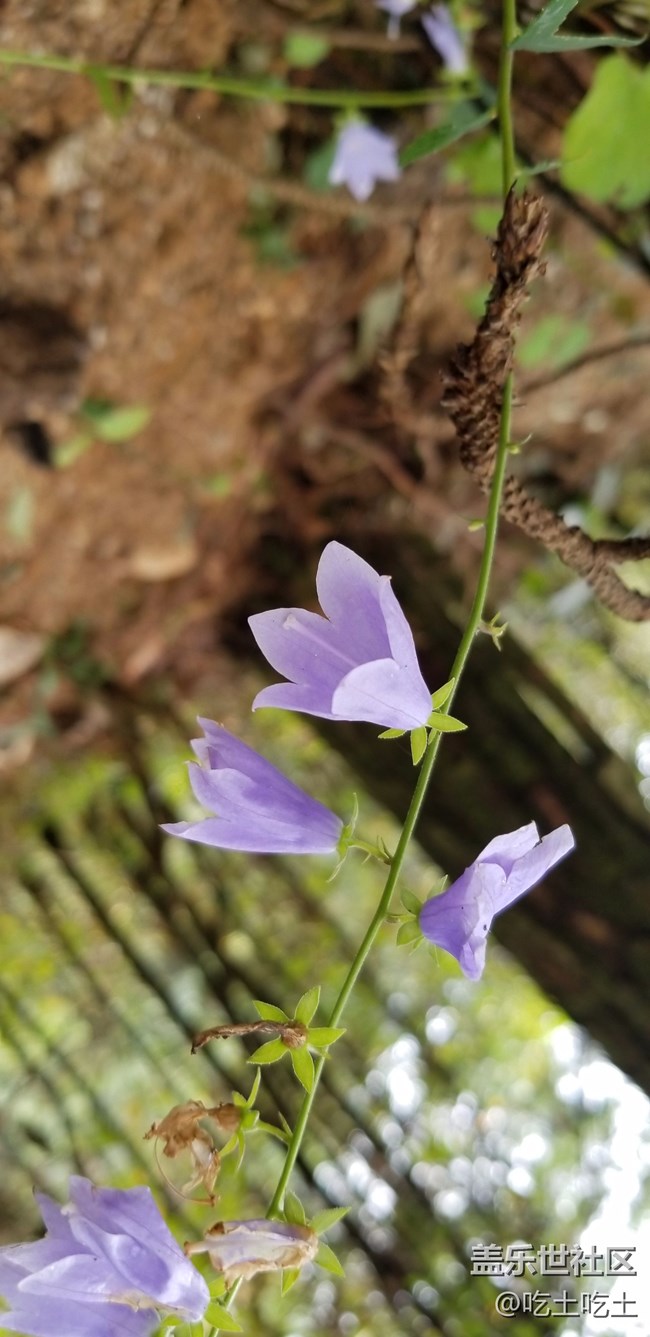 新人報(bào)道，5個(gè)月的用機(jī)體驗(yàn)。