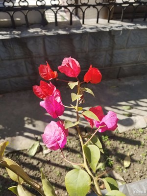 我來(lái)說(shuō)說(shuō)看法拍照