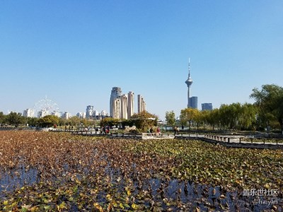 拍才知道 + 水上公園的秋