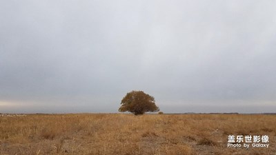 拍，才知道+隨拍