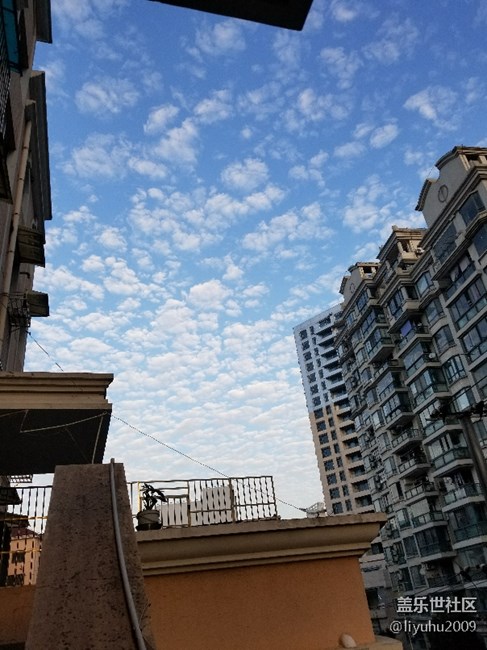 晨跑……隨手一拍