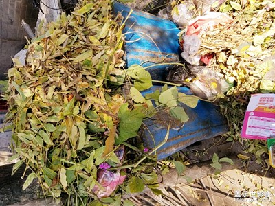 拍才知道+秋葉