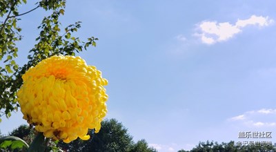 《我眼中的十一月》+秋氣輕寒可人天