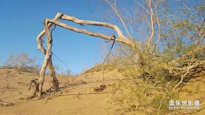 拍才知道+路邊隨拍