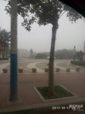 隨便拍