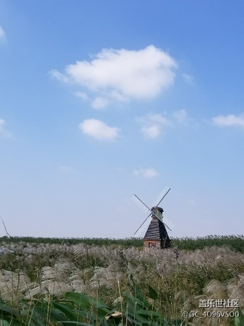 上海分公司 胡慧軍小區(qū)    高可   精彩瞬間