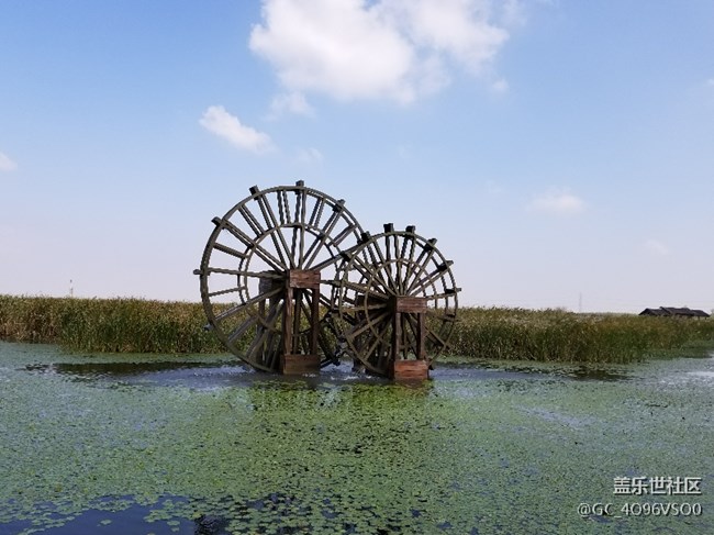 上海分公司 胡慧軍小區(qū)    高可   精彩瞬間