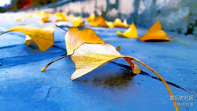 每周精帖匯【第78期：雙十一你都買什么了？】