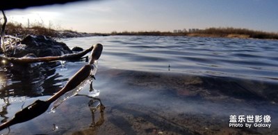 《我眼中的十一月》+初冬的哈爾濱