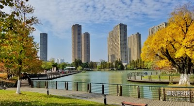 秋去初寒，層林盡染，霜重色愈濃。