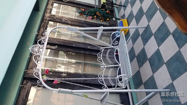 【活動(dòng)回顧】雙十一單身狂歡派對(duì)！汪！回顧