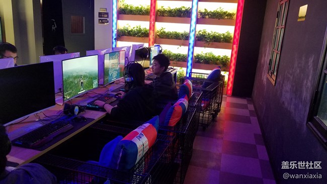 【活動(dòng)回顧】雙十一單身狂歡派對(duì)！汪！回顧