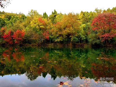 貴陽花溪黃金大道初冬美景