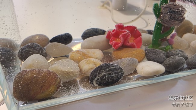 雙11重慶星部落N(xiāo)OTE8評(píng)鑒會(huì)