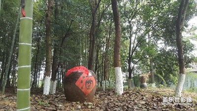 杯中不覺老， 林下更逢春