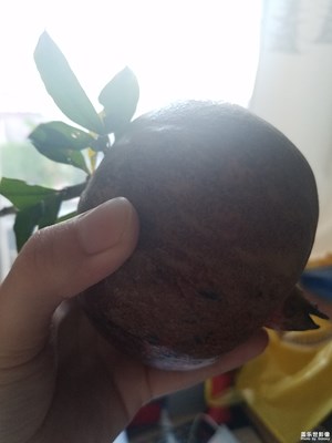 一個(gè)大石榴