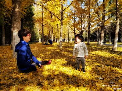 【三星蓋樂世S8+】故都的秋