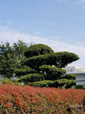 天朗氣清，早安各位