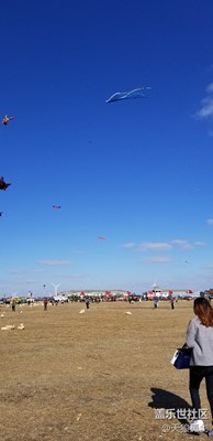 風(fēng)箏節(jié)(續(xù))