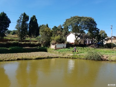 鄉(xiāng)村風(fēng)景別樣好