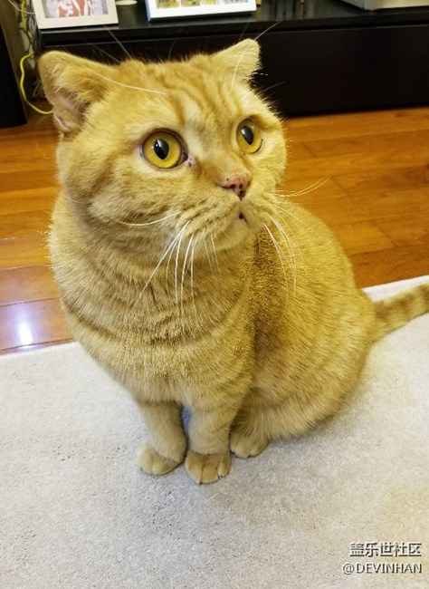 小黃