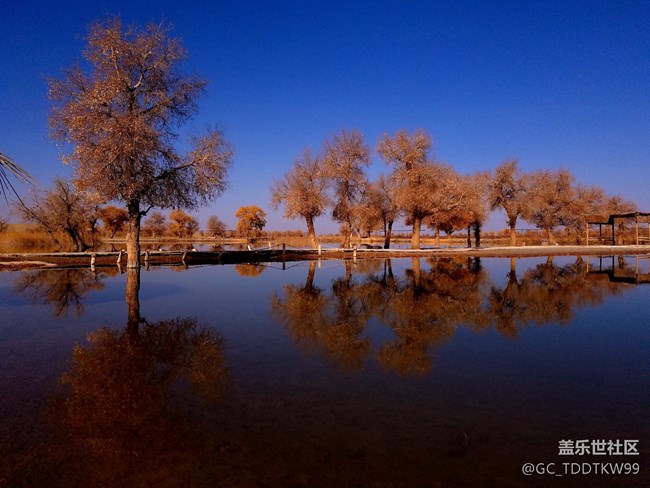 七姨拍攝   無后期  大家給個評價