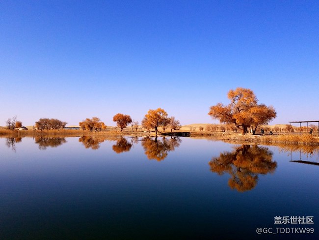 七姨拍攝   無后期  大家給個評價