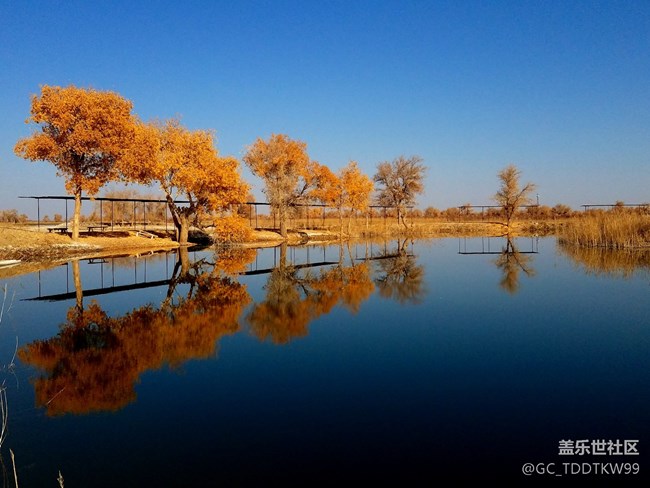 七姨拍攝   無后期  大家給個評價