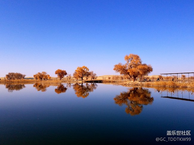 七姨拍攝   無后期  大家給個評價