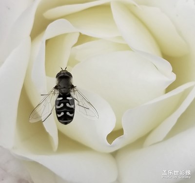 蓋樂世影像周賽第41期——拾憶