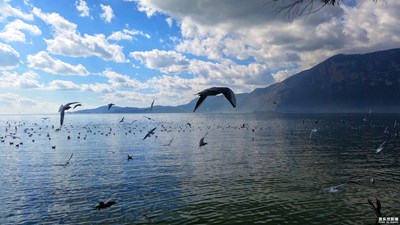 《拾憶》+致，我的2017